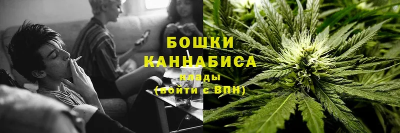 Каннабис конопля  купить наркоту  гидра как зайти  Злынка 